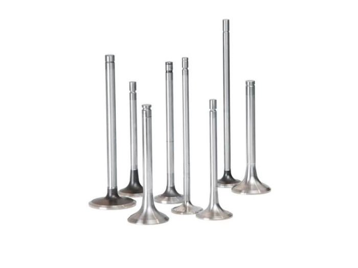Set of Antra intake and exhaust engine valves in different sizes